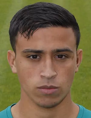 محمد الخربوشي