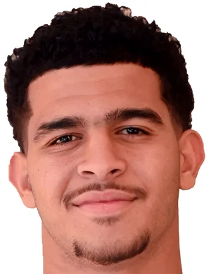 محمد أحمد حمد شحاتة