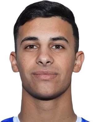 محمد وليد أبوشقرة