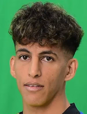 Mohammed Zayed Al-Ghamdi, محمد الغامدي