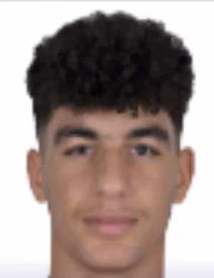 مهند أيمن الشامي