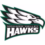 Mohawk Valley Hawks герб