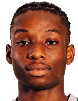 Mylan Toty
