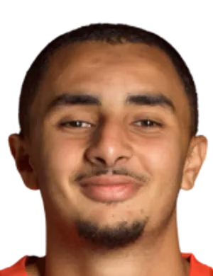 نبيل البصري