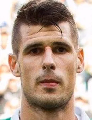 Nemanja Mitrović