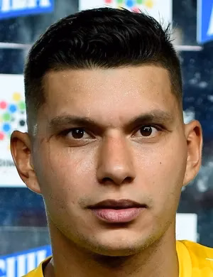 Alvino Volpi Neto