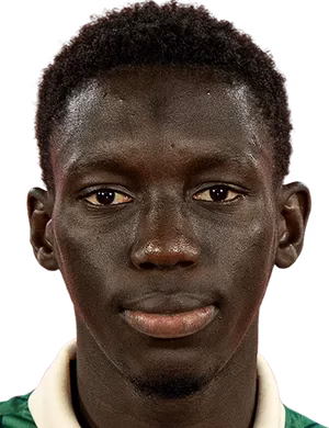 Nfansu Njie