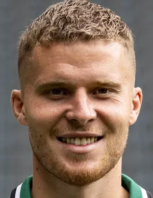 Нико Эльведи