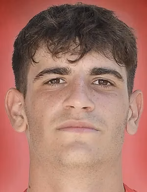 Nicola Venerandi