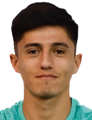 Nicolás Alejandro Aedo Muñoz