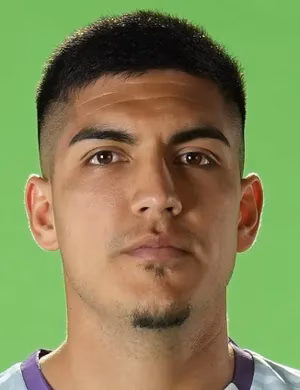 Nicolás Fernando Araya Bruna