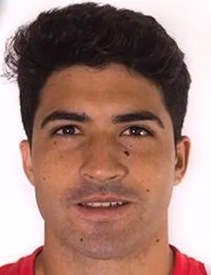 Nicolás Alejandro Ibáñez