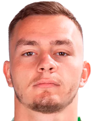 Постников Никита Алексеевич