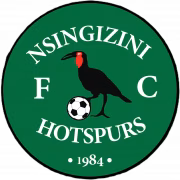 Nsingizini Hotspurs FC герб