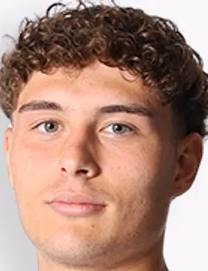 Pedro Henrique Mendes Biasotto