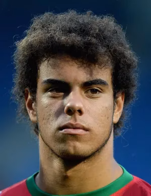 Pedro Miguel Dinis Ferreira