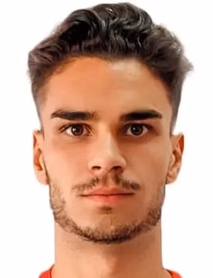 Pedro Miguel Carmo Vieira