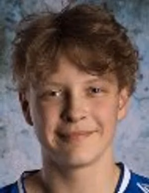 Peetu Kerminen