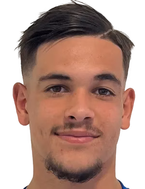 Pierre Naidon