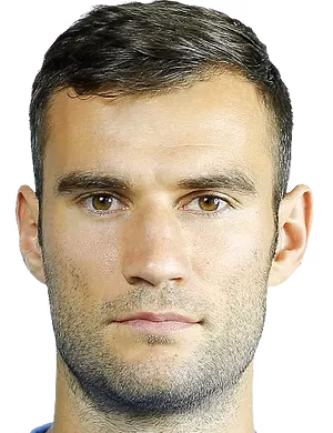 Radu Gînsari