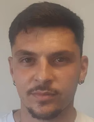 Ραφαήλ Πιττάτζιης