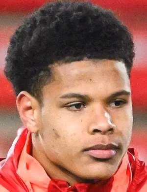 Raphaël Le Guen