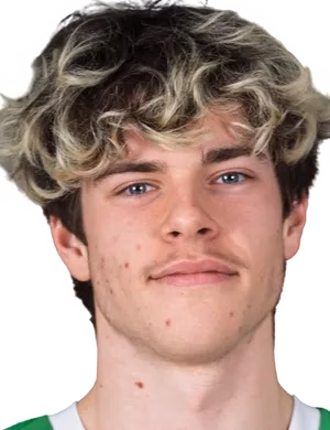 Rauls Steponavičus