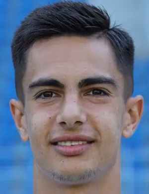 Răzvan Florentin Vulpe