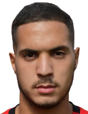 رضا محمد امين بن شاعة