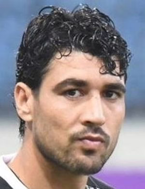 رضا السيد
