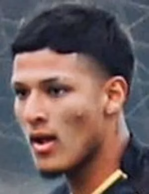 Ricardo Junior Mendoza Montenegro