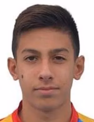 Riccardo Leone