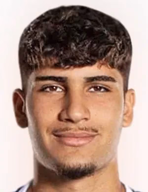 رومان دولاشي , Roman Yadger Mhmood Mhmood Doulashi