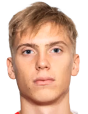 Поляков Ростислав Игоревич