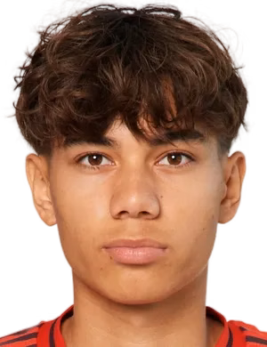Roy Rafael Snip