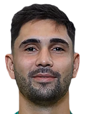 Rui Pedro da Silva Costa