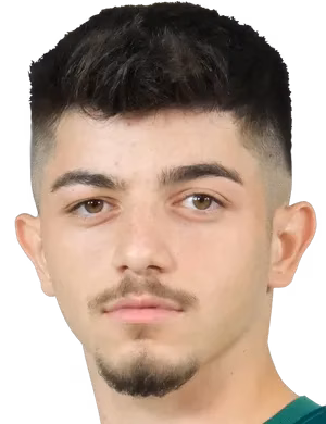 Şahin Dik