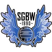 SG Blaues Wunder герб