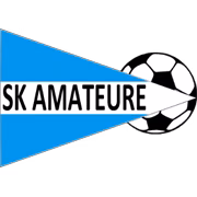 SK Amateure Steyr герб