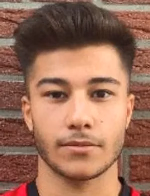 Tarik Elmali