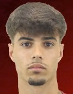 Tiago Franclim Alves Leal