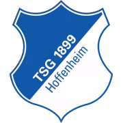 TSG 1899 Hoffenheim Youth герб