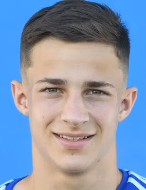 Vanja Šare