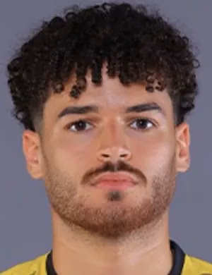 يوسف محمد سيد
