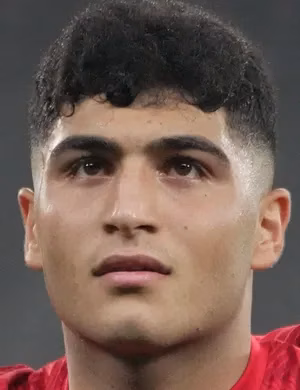 Yunus Emre Konak