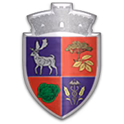 ACS Socodor герб