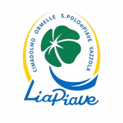 ASD Liapiave герб