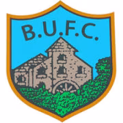 Ballynahinch United FC герб