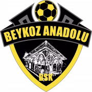 Beykoz Anadolu Spor Youth герб