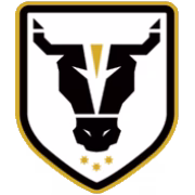 Bulls FC Academy герб